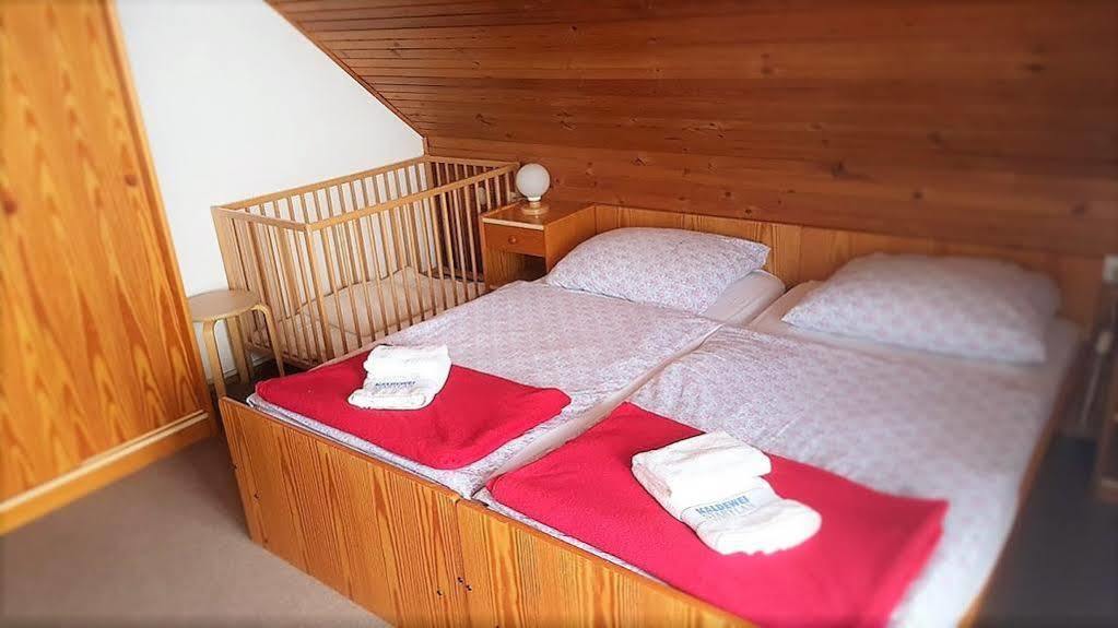 Penzion Vila Bistrica Бохиньска-Быстрица Экстерьер фото